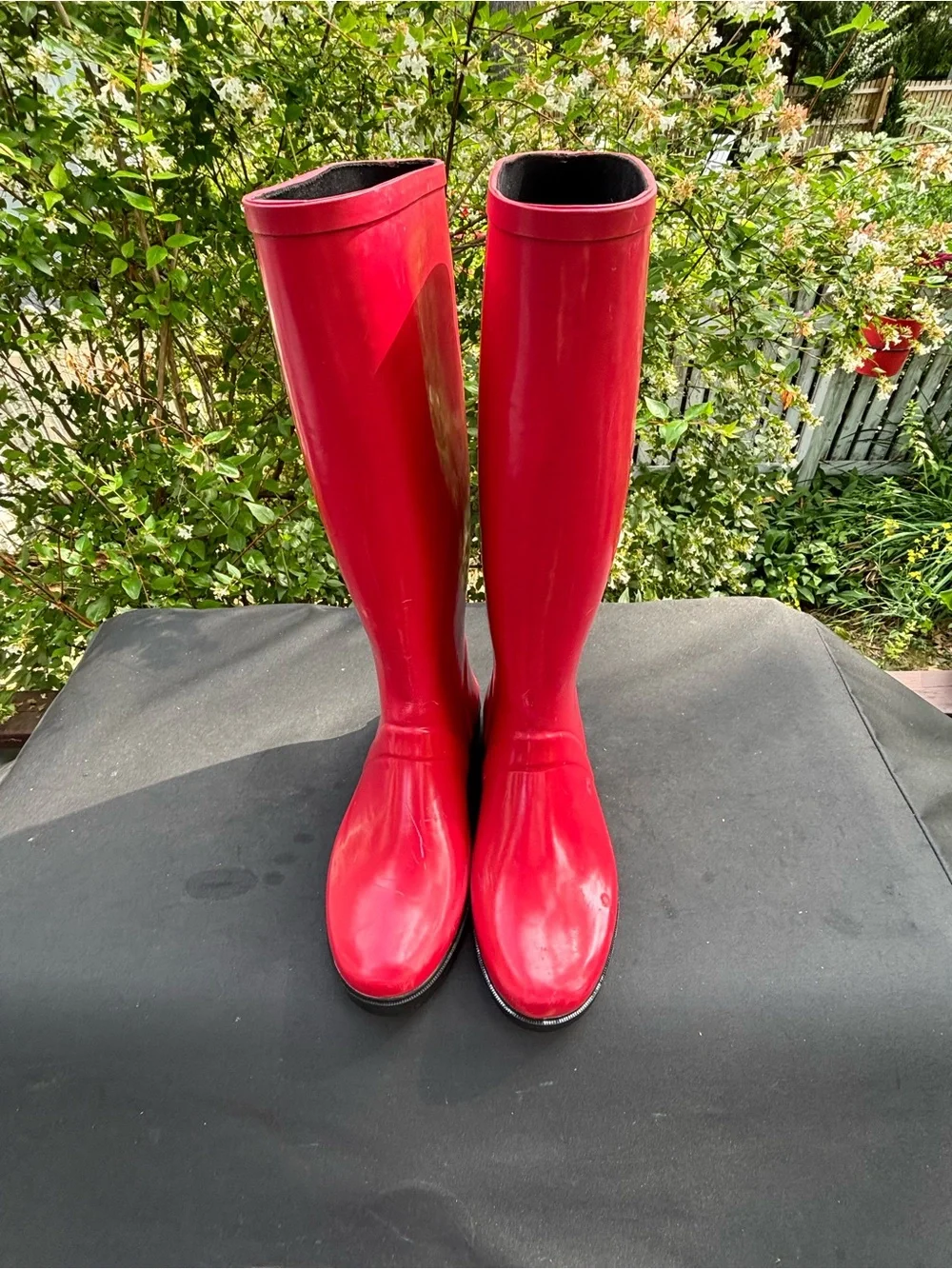 Polo by Ralph Lauren Red Women's Tall Rain Boots with Black Sole